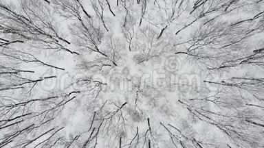 冬季，在林地的雪覆盖着的树木上进行<strong>高空</strong>自上而下的无人机飞行. 4的<strong>高空</strong>飞碟